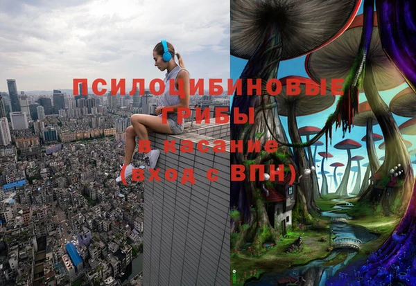 дживик Армянск
