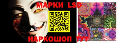 ПСИЛОЦИБИНОВЫЕ ГРИБЫ Лесной