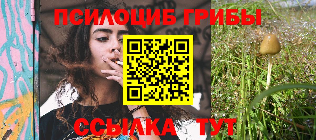 Галлюциногенные грибы мицелий  Галлюциногенные грибы прущие грибы  Вход с VPN  Тюмень 